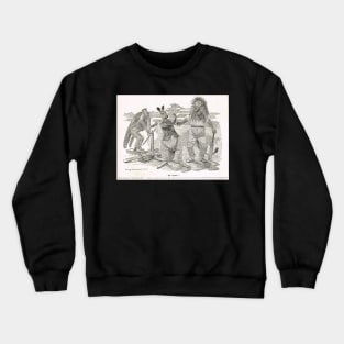 Ashes Cricket Punch cartoon 1899 W G Grace Crewneck Sweatshirt